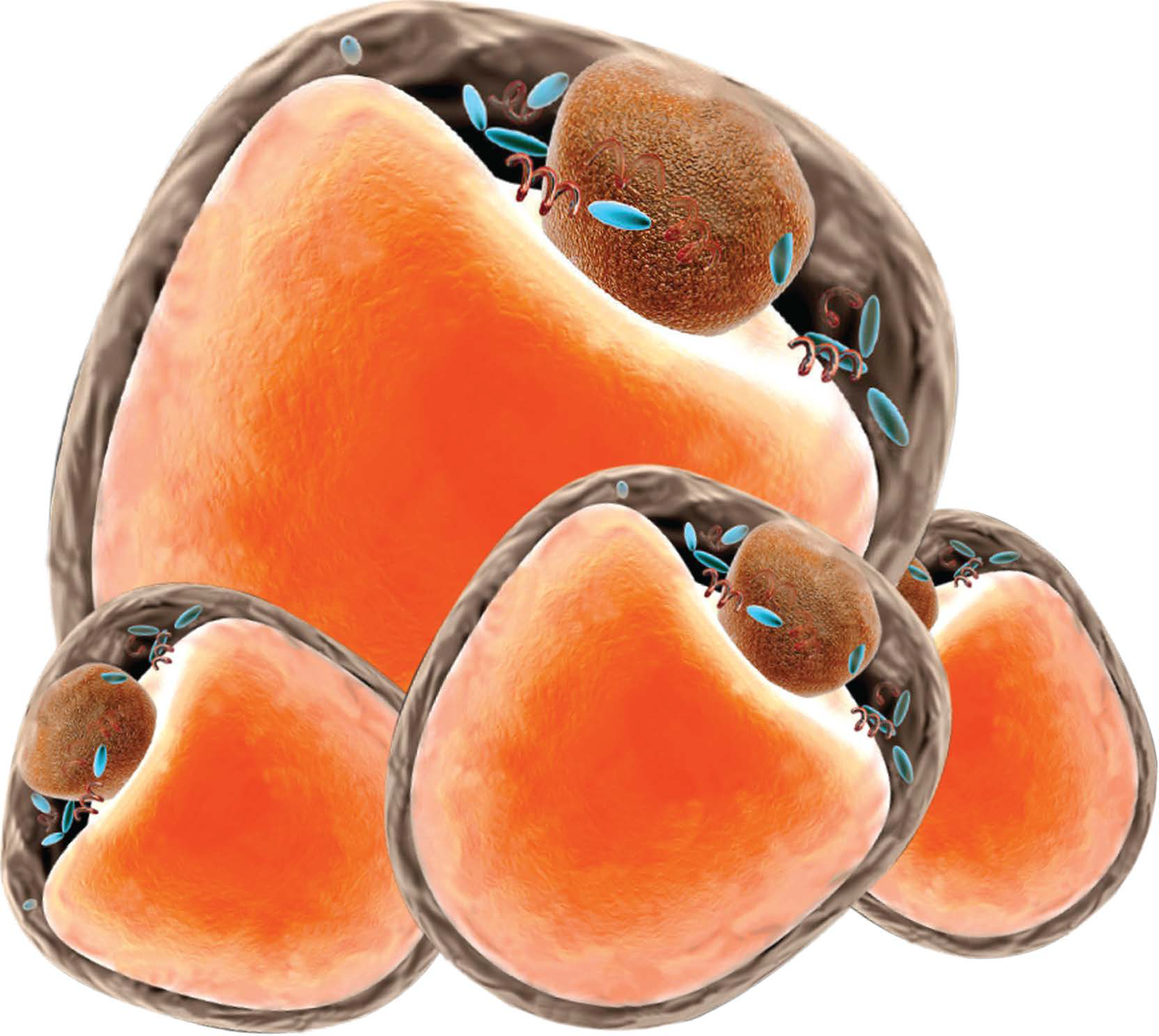 Milligraft Behandlungskit